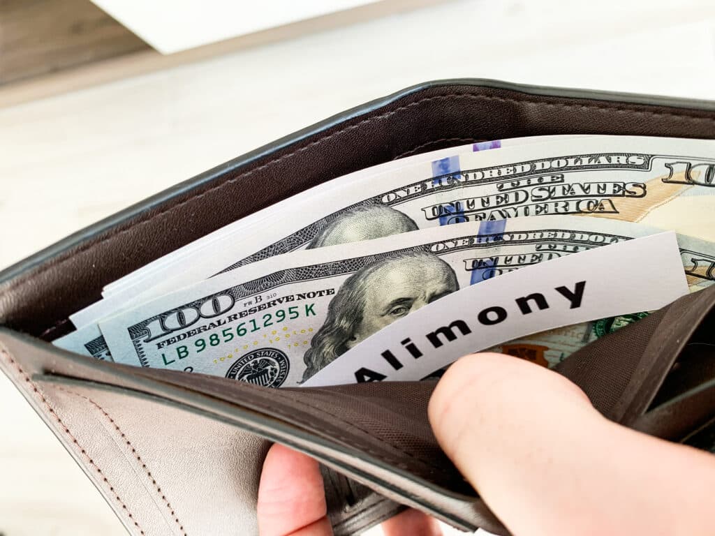 Payment alimony. Purse with dollarrs and card alimony.